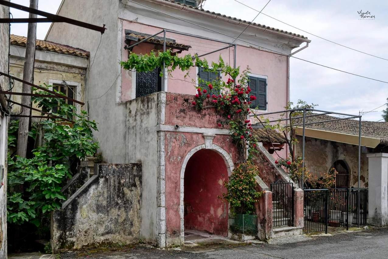 Alexandras Forest View Agios Prokopios  Exterior foto